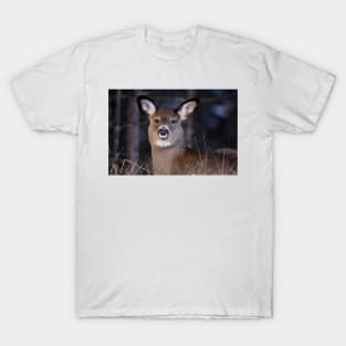 White-tailed Deer T-Shirt